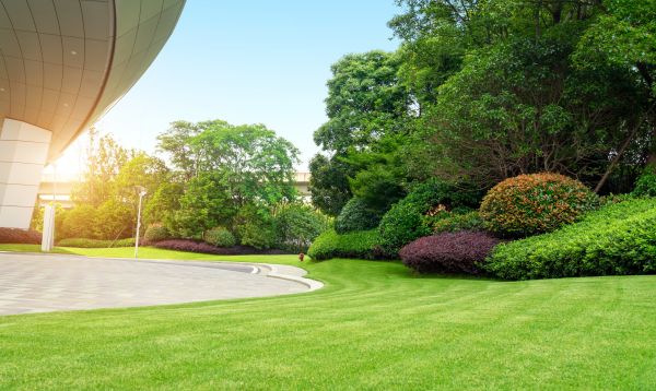 Cost of Commercial Shrub Trimming in Asheville