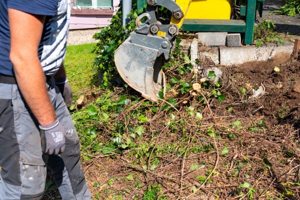 Cost of Hedge Removal Service in Asheville