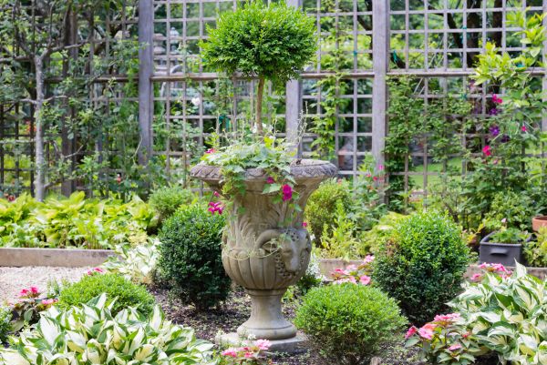 Cost of Topiary Pruning in Asheville