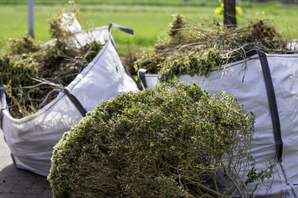 Cost of Shrubs Removal in Asheville